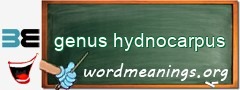WordMeaning blackboard for genus hydnocarpus